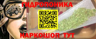 стаф Новокубанск
