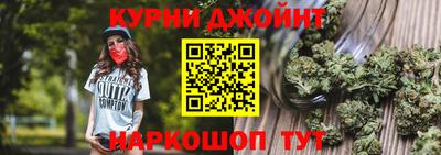 стаф Новокубанск