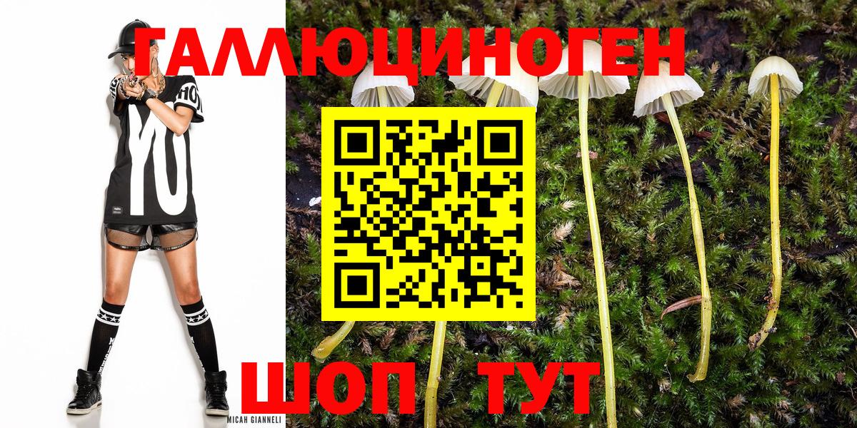 Галлюциногенные грибы Psilocybe Тольятти
